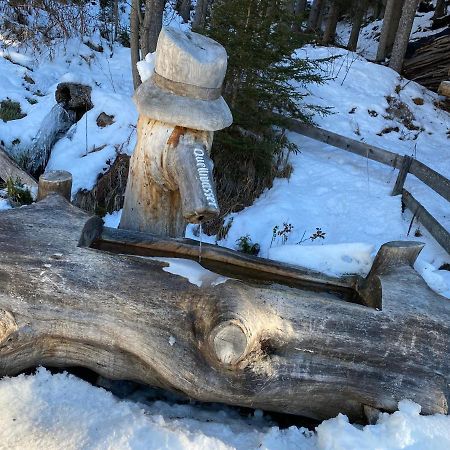 Ferienwohnung 4 Personen Alleinlage Am Wald Naehe Skigebiet Hochzeiger Jerzens Kültér fotó